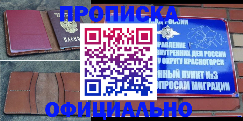прописка в Грозном